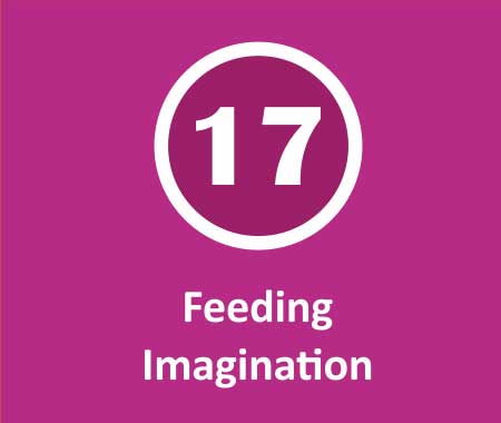 Feeding Imagination